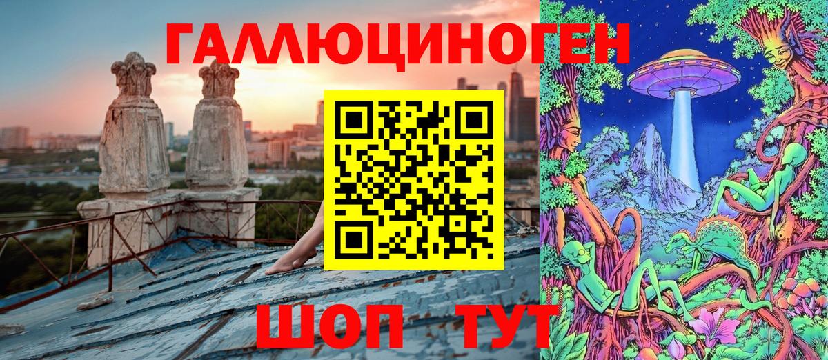 Галлюциногенные грибы Psilocybine cubensis  Вход с VPN  Ипатово 