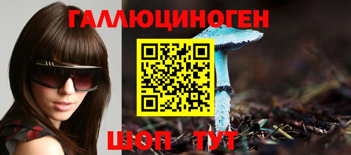 Псилоцибиновые грибы Psilocybine cubensis Ипатово